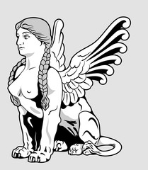 Sphinx - girl with the body of a lion, vector graphics