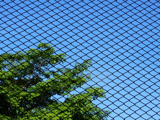 silhouette wire mesh with tree and blue sky background