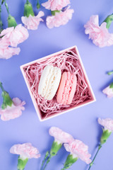 Nice pink carnation flowers and two macaroons in decorative box on a violet background.