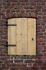 Rustic Wood Door in a Brick Wall