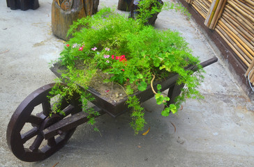 Fototapeta na wymiar flower garden in the shape of a cart. Flower bed