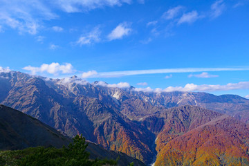 中部山岳国立公園。八方尾根より北アルプス、唐松岳を望む。白馬　長野　日本。10月下旬。