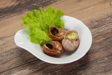 French cuisine - Escargot with sauce