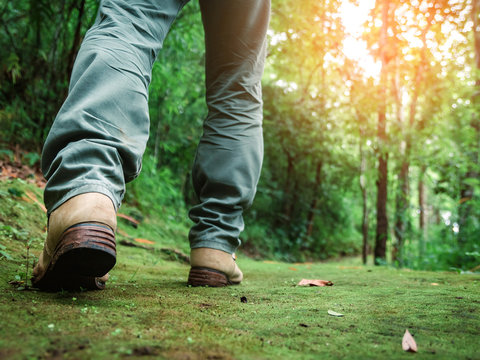 Hiking boots and legs of young man walking on the mountain green path in forest