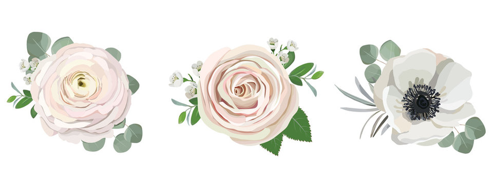 anemone ranunculus eucalyptus rose peony flowers and eucalyptus branches bouquet vector illustration, hand drawn floral elements set for greeting cards, wedding invitations.
