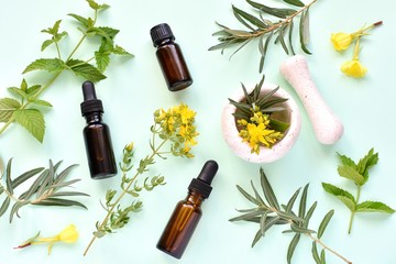 Herbal medicine, natural cosmetic, phytotherapy concept, flat lay on green background with fresh herbs and flowers, essential oils, mortar and pestle.