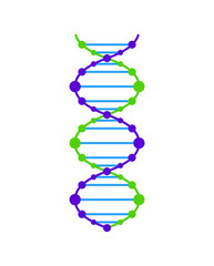 Dna icon vector. Dna vector graphic illustration.