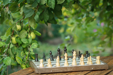 Chess board with chess pieces on desk with branches of apple tree