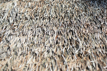 Roof of dry palm leaves close-up. Tropical natural background