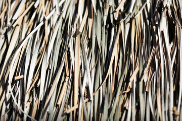 Roof of dry palm leaves close-up. Tropical natural background
