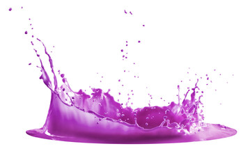 purple paint splash isolated on white background