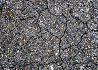 drought, dried black soil, cracked