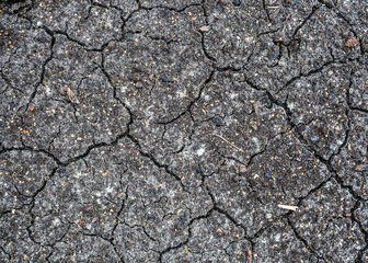 drought, dried black soil, cracked