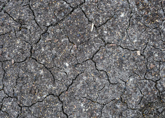 drought, dried black soil, cracked