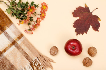 Autumn theme. Dry leaves, flowers, apple, walnuts and plaid on the beige background.