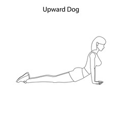Upward dog pose outline