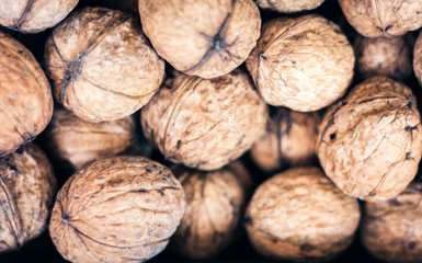 Natural walnut in shell background pattern texture.