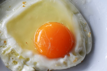 fried egg in a pan