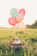 Baby girl in wicker basket with balloons on nature at summer