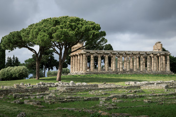 Fototapeta na wymiar Griechischer Tempel bei den Ruinen von Paestum, Italien