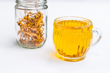 Cordyceps militaris mushroom