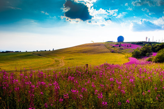 wonderful pink countryside in germany