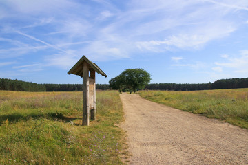 Hiking Trail in Müritz National Park, Entrance Federow, Germany