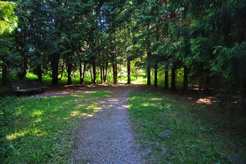 Polenovo manor near Tarusa, Russia