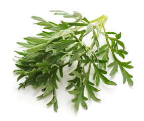 Leaves of wormwood.