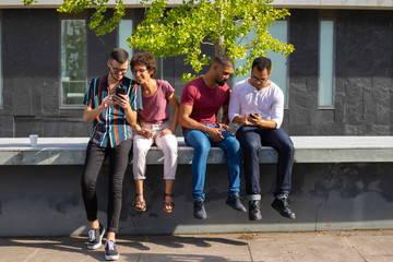 Fototapeta premium People sitting on parapet outside and watching content on phones together. Men and women using smartphone outdoors. Wireless connection concept