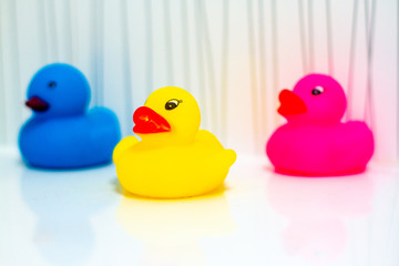 COlourful rubber ducklings