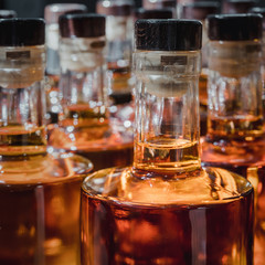 Small liquor production based on maple syrup. Multitude of pure alcohol bottles not labeled....