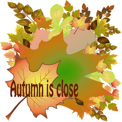 banner autumn about leaves yellow colored background poster illustration