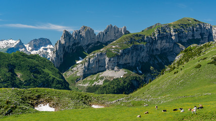 Fototapeta na wymiar Switzerland, Panoramic view on Hoher Kasten and AlpSiger