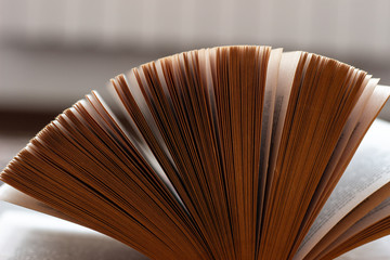 View of book pages. Open the pages of the book. Open book on the table.