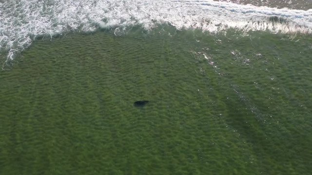Another view of Nauset Beach