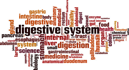 Digestive system word cloud