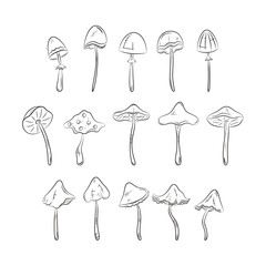 Black and white mushrooms set. Simple line icons. Vector illustration. 