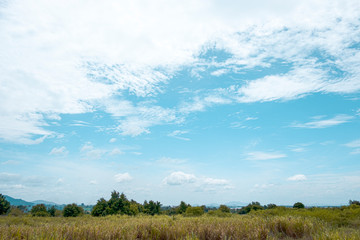Fototapeta premium White clouds and blue sky with trees of beautiful view landscape use for advertisement , background and wallpaper