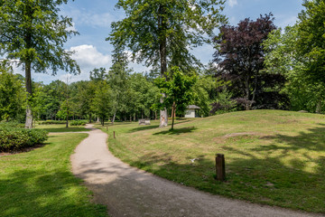 green english garden with trees and grass
