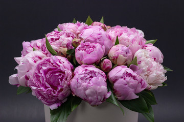 Fototapeta premium Pink peonies in a hat box on a dark background.