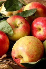 apples on wooden background