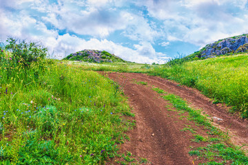 Fototapeta na wymiar Crimea, Kerch. Nature reserve - dirt road. Hiking landscape park