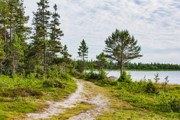 Arctic Ocean. Stone sea- coast landscape