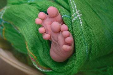 Photo of newborn baby feet, soft focus.
