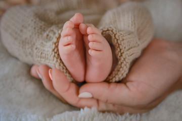 Newborn baby feet and hands of parents