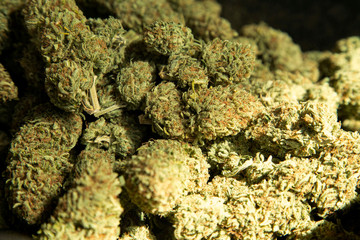 Marijuana medical, pile of retail trimmed weed closed up