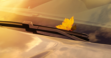 A beautiful autumn leaf, stuck under the windshield wiper of a clean car - copy space - obrazy, fototapety, plakaty