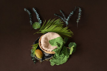 Basket for shooting newborns decorated with palm leaves and plants on a brown background.