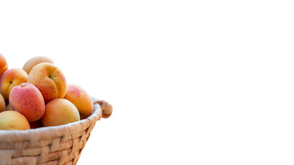 Fresh ripe apricots on the basket with white background